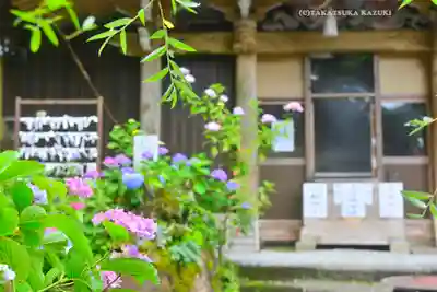 連祥院(栃木県)