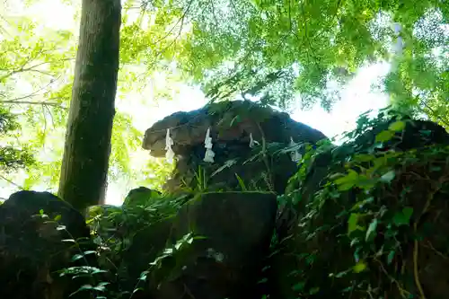 渋川八幡宮の建物その他