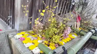 北野天満宮(京都府)