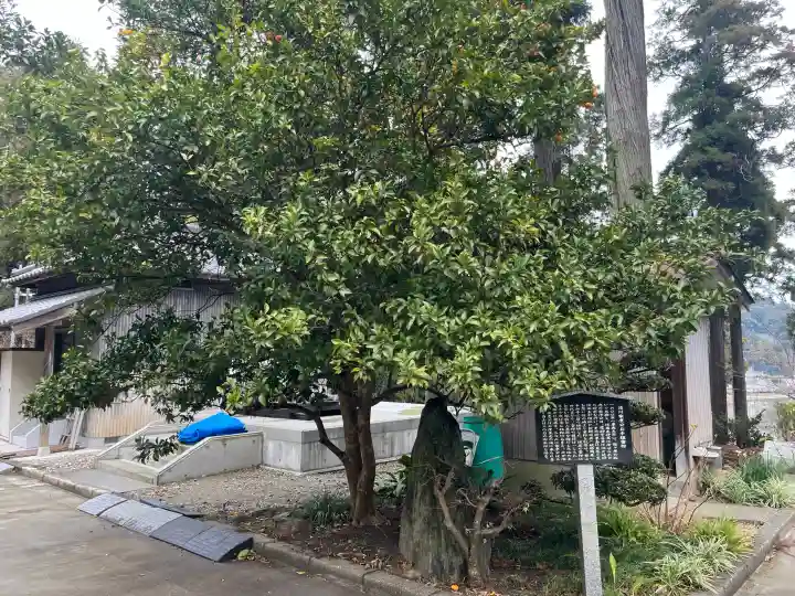 本漸寺の{uncategorized: "未分類", other: "その他", undefined: "問題あり", building: "その他建物", grave: "お墓", sacred_gate: "鳥居", guardian: "狛犬", statue: "像", buddha: "仏像", history: "歴史", nature: "自然", garden: "庭園", animal: "動物", pagoda: "塔", temizu: "手水舎", mountain_gate: "山門・神門", sanctuary: "本殿・本堂", subordinate: "末社・摂社", art: "芸術", scenery: "景色", jizo: "地蔵", ema: "絵馬", goshuin: "御朱印", omikuji: "おみくじ", items: "授与品その他", amulet: "お守り", goshuincho: "御朱印帳", eats: "食事", festival: "お祭り", votive_dance: "神楽", shichigosan: "七五三参", wedding: "結婚式", experience: "体験その他", initially: "初詣", around: "周辺", anti_infection: "感染症対策"}