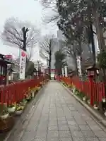 川越八幡宮(埼玉県)