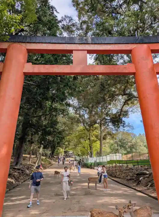 手向山八幡宮(奈良県)
