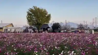 寅稲荷神社の自然