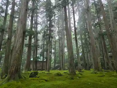 平泉寺白山神社(福井県)