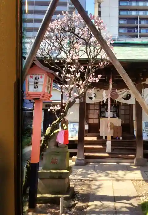 四谷於岩稲荷田宮神社(東京都)