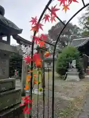 網戸神社(栃木県)