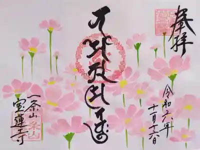 11月のコスモスの御朱印(ラメが入っていてキラキラしてます✨✨)