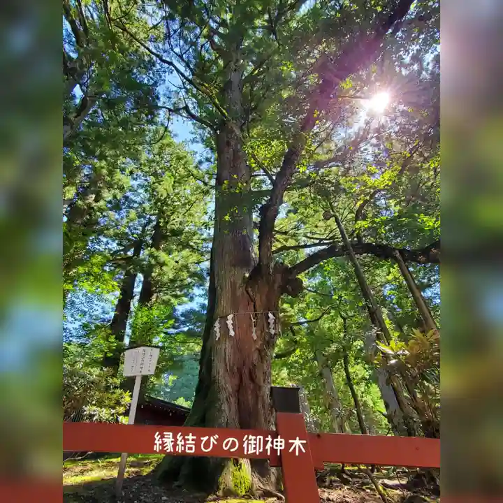 日光二荒山神社(栃木県)