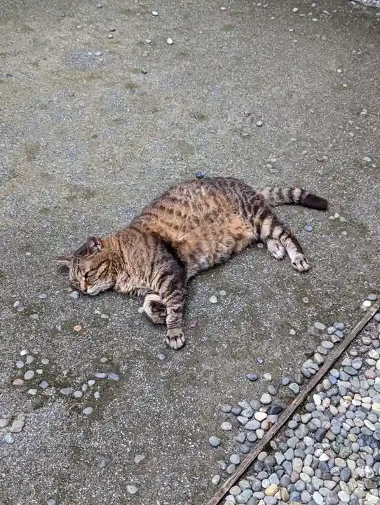 太田姫稲荷神社の動物