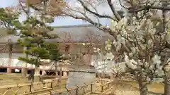 根来寺 智積院の建物その他