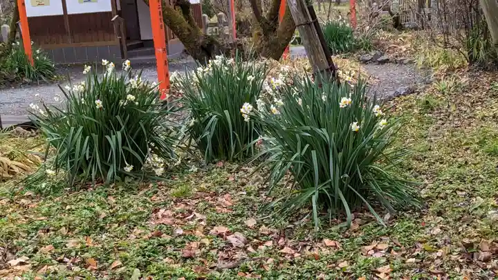 平野神社(京都府)