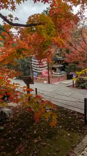 勝林寺(京都府)