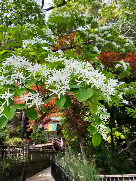 深大寺(東京都)