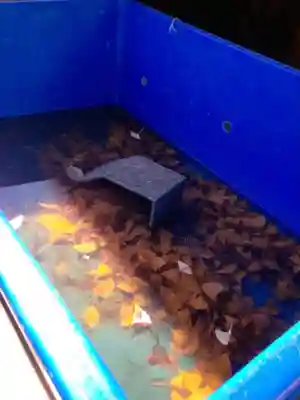 下谷神社(東京都)