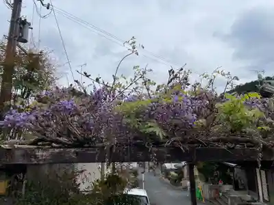 不思議不動院(京都府)