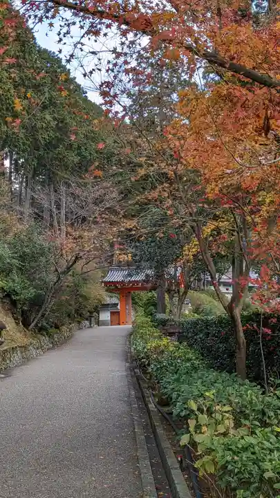 三室戸寺の山門・神門