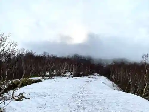山家神社奥宮の自然