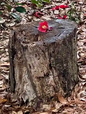 天穂日命神社(京都府)