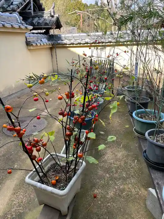 當麻寺 西南院(奈良県)