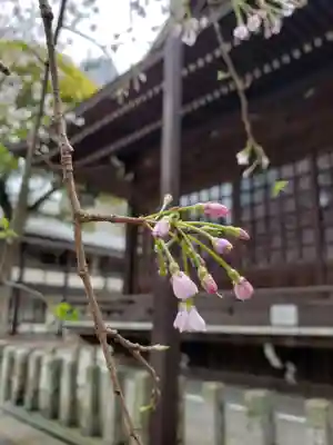 熊野神社(東京都)