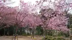 熊野若王子神社の庭園