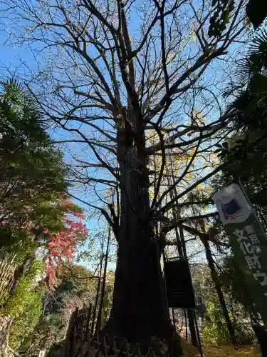 王子神社(東京都)
