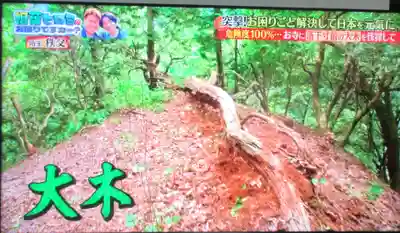 観音院(埼玉県)