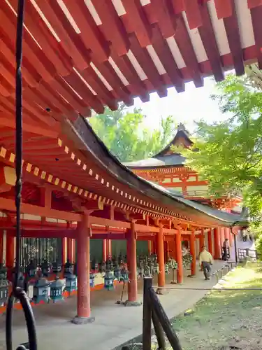 春日大社の本殿