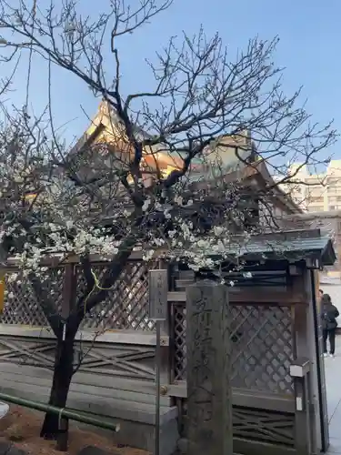 湯島天満宮(東京都)