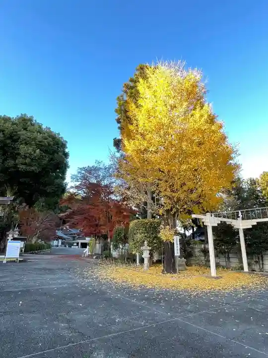 高麗神社(埼玉県)