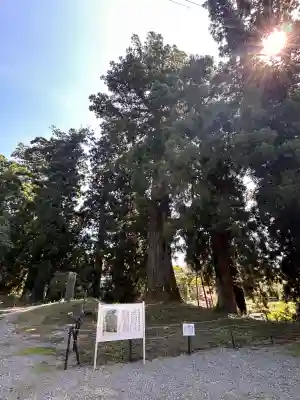 村山浅間神社(静岡県)