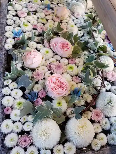 高円寺氷川神社の手水舎