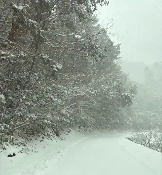 山賊魂稲成神社の{uncategorized: "未分類", other: "その他", undefined: "問題あり", building: "その他建物", grave: "お墓", sacred_gate: "鳥居", guardian: "狛犬", statue: "像", buddha: "仏像", history: "歴史", nature: "自然", garden: "庭園", animal: "動物", pagoda: "塔", temizu: "手水舎", mountain_gate: "山門・神門", sanctuary: "本殿・本堂", subordinate: "末社・摂社", art: "芸術", scenery: "景色", jizo: "地蔵", ema: "絵馬", goshuin: "御朱印", omikuji: "おみくじ", items: "授与品その他", amulet: "お守り", goshuincho: "御朱印帳", eats: "食事", festival: "お祭り", votive_dance: "神楽", shichigosan: "七五三参", wedding: "結婚式", experience: "体験その他", initially: "初詣", around: "周辺", anti_infection: "感染症対策"}