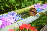 二尊院の手水舎