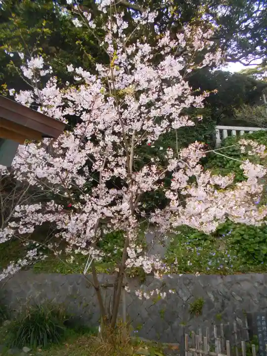 甘縄神明神社(甘縄神明宮)の自然