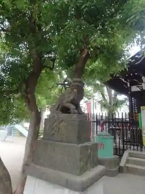 矢口氷川神社の狛犬