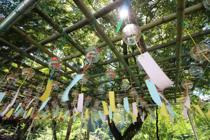 金櫻神社(山梨県)