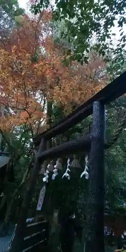 野宮神社の鳥居