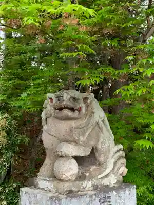 明石神社の狛犬