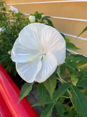 中山寺(兵庫県)