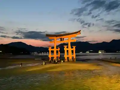 厳島神社の{uncategorized: "未分類", other: "その他", undefined: "問題あり", building: "その他建物", grave: "お墓", sacred_gate: "鳥居", guardian: "狛犬", statue: "像", buddha: "仏像", history: "歴史", nature: "自然", garden: "庭園", animal: "動物", pagoda: "塔", temizu: "手水舎", mountain_gate: "山門・神門", sanctuary: "本殿・本堂", subordinate: "末社・摂社", art: "芸術", scenery: "景色", jizo: "地蔵", ema: "絵馬", goshuin: "御朱印", omikuji: "おみくじ", items: "授与品その他", amulet: "お守り", goshuincho: "御朱印帳", eats: "食事", festival: "お祭り", votive_dance: "神楽", shichigosan: "七五三参", wedding: "結婚式", experience: "体験その他", initially: "初詣", around: "周辺", anti_infection: "感染症対策"}