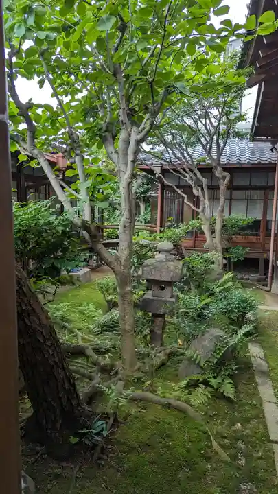 慧光寺(京都府)