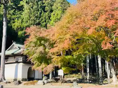 古知谷阿弥陀寺(京都府)