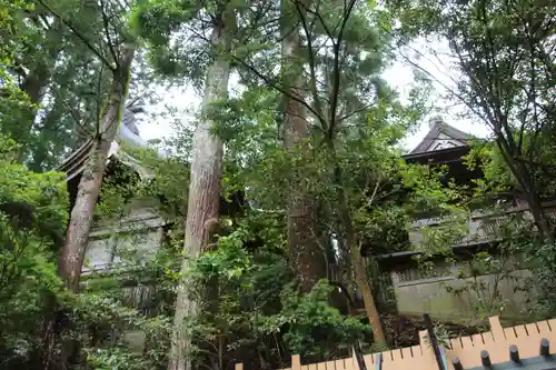 天河大辨財天社のその他建物