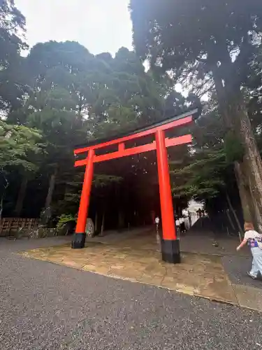 霧島神宮(鹿児島県)