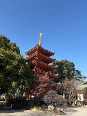 東長寺の{uncategorized: "未分類", other: "その他", undefined: "問題あり", building: "その他建物", grave: "お墓", sacred_gate: "鳥居", guardian: "狛犬", statue: "像", buddha: "仏像", history: "歴史", nature: "自然", garden: "庭園", animal: "動物", pagoda: "塔", temizu: "手水舎", mountain_gate: "山門・神門", sanctuary: "本殿・本堂", subordinate: "末社・摂社", art: "芸術", scenery: "景色", jizo: "地蔵", ema: "絵馬", goshuin: "御朱印", omikuji: "おみくじ", items: "授与品その他", amulet: "お守り", goshuincho: "御朱印帳", eats: "食事", festival: "お祭り", votive_dance: "神楽", shichigosan: "七五三参", wedding: "結婚式", experience: "体験その他", initially: "初詣", around: "周辺", anti_infection: "感染症対策"}