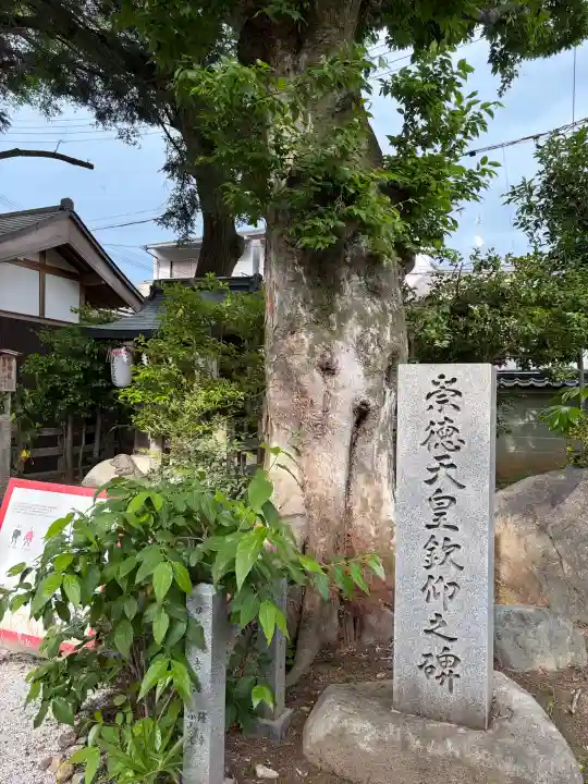白峯神宮の{uncategorized: "未分類", other: "その他", undefined: "問題あり", building: "その他建物", grave: "お墓", sacred_gate: "鳥居", guardian: "狛犬", statue: "像", buddha: "仏像", history: "歴史", nature: "自然", garden: "庭園", animal: "動物", pagoda: "塔", temizu: "手水舎", mountain_gate: "山門・神門", sanctuary: "本殿・本堂", subordinate: "末社・摂社", art: "芸術", scenery: "景色", jizo: "地蔵", ema: "絵馬", goshuin: "御朱印", omikuji: "おみくじ", items: "授与品その他", amulet: "お守り", goshuincho: "御朱印帳", eats: "食事", festival: "お祭り", votive_dance: "神楽", shichigosan: "七五三参", wedding: "結婚式", experience: "体験その他", initially: "初詣", around: "周辺", anti_infection: "感染症対策"}