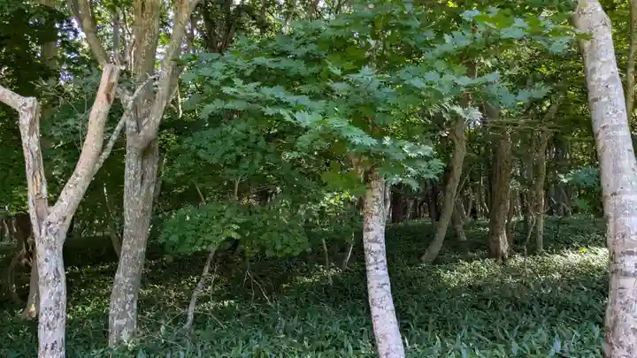 稲荷神社の自然