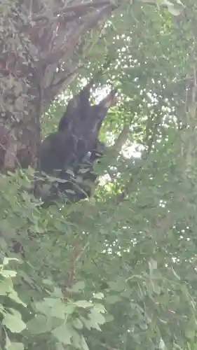 飛木稲荷神社(東京都)
