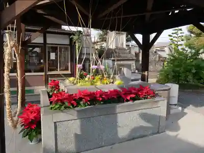 道隆寺の手水舎